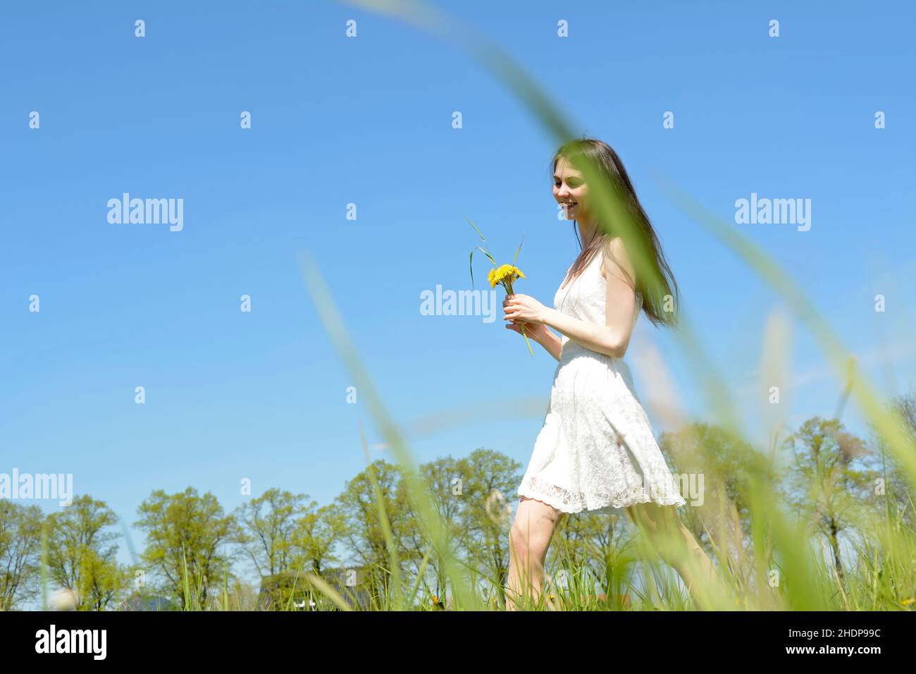 girl, summer, flower meadow, pick, girls, summers, flower meadows Stock
