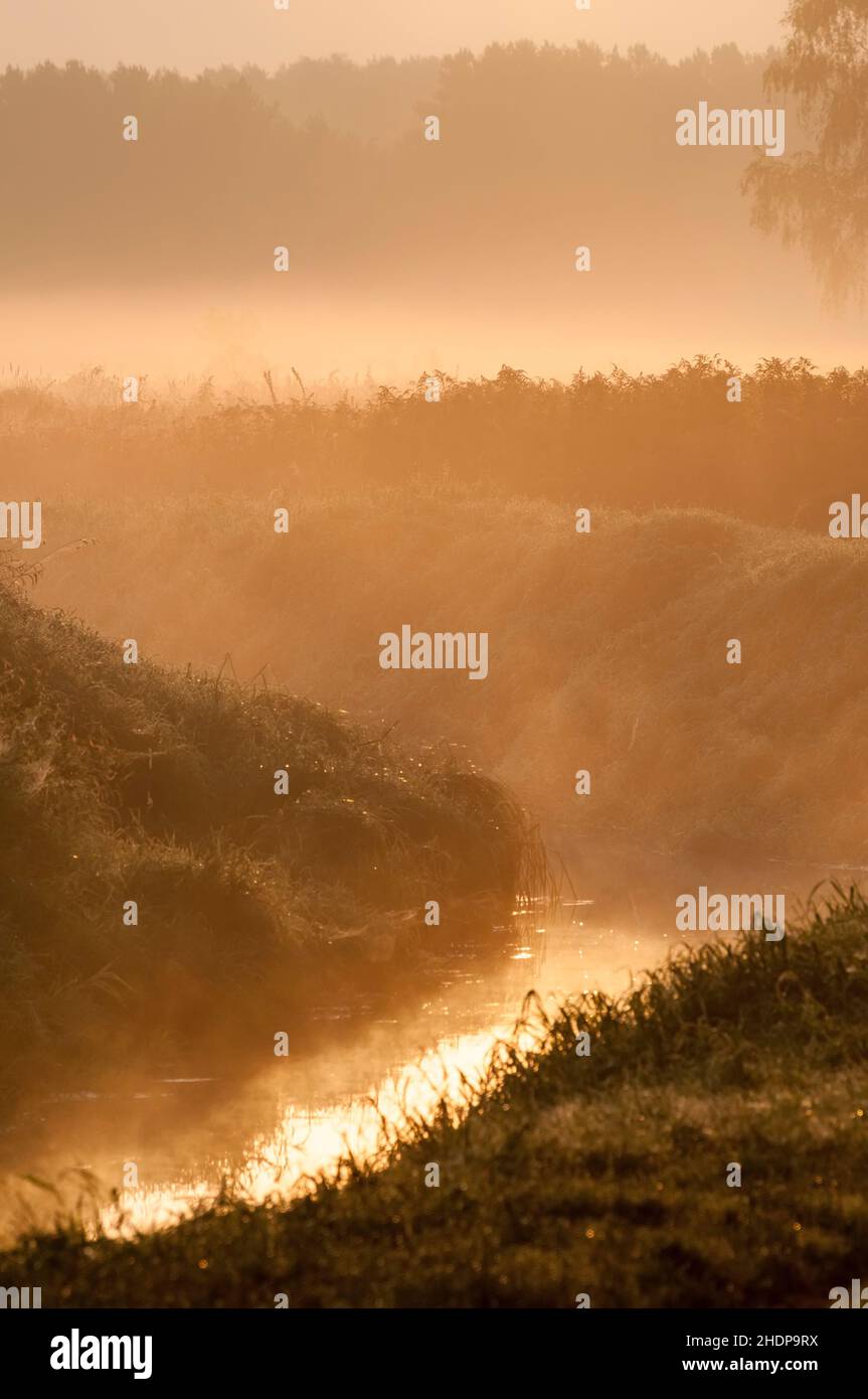 dawn twilight, river, haze, dawns, rivers, dunsts Stock Photo