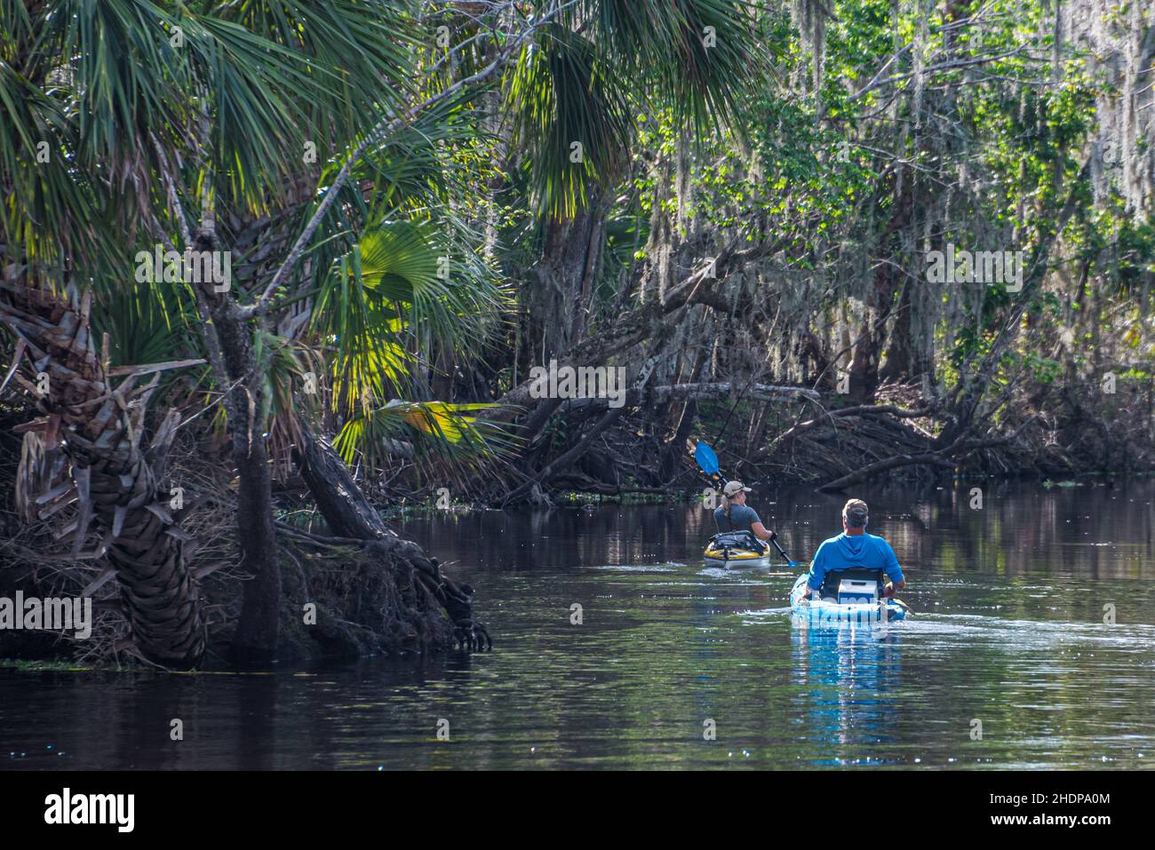 Couple kayaking in the St. Johns River near Blue Spring State Park in Volusia County, Florida. (USA) Stock Photo