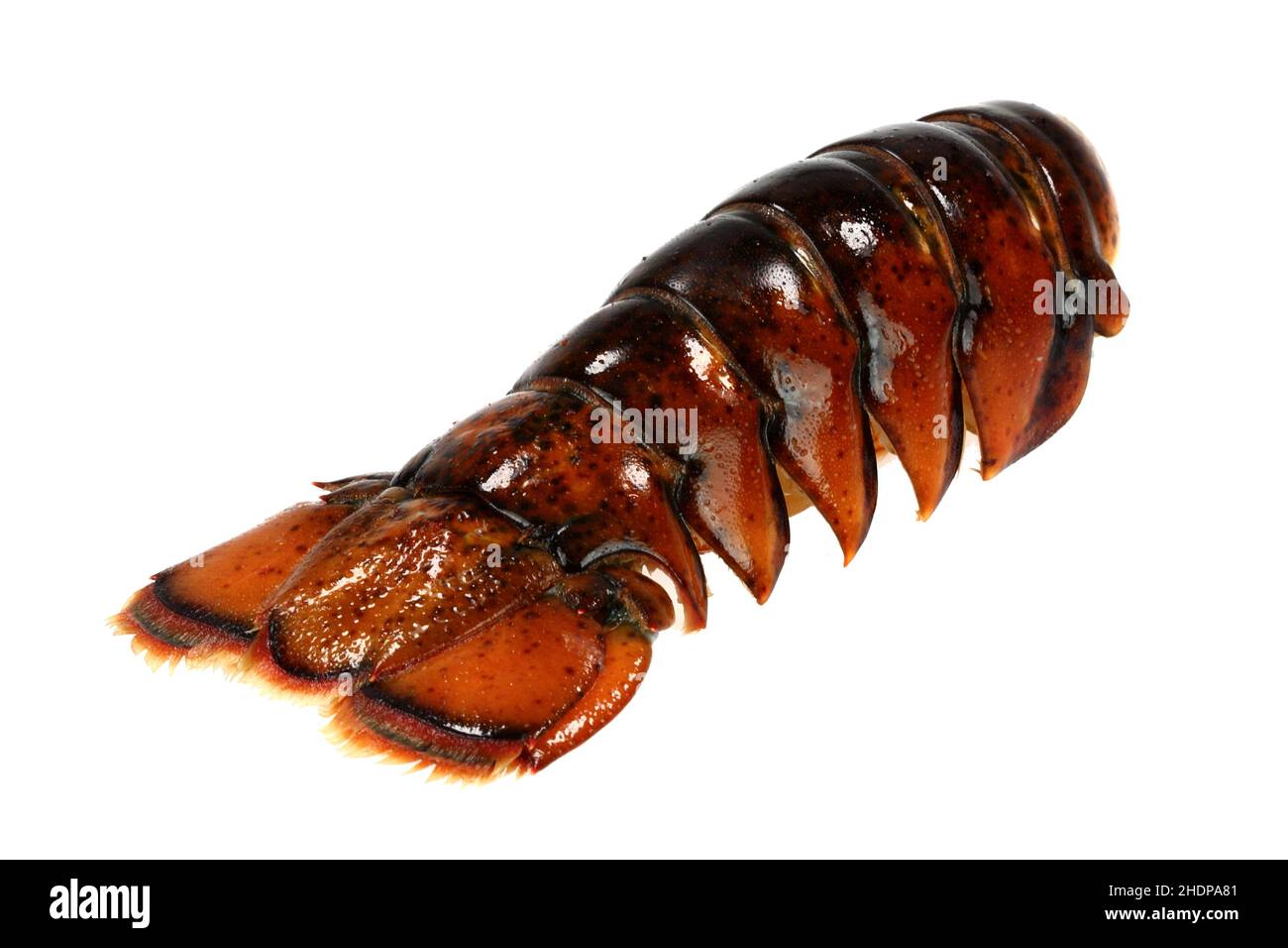 lobster, tail, lobsters, tails Stock Photo Alamy