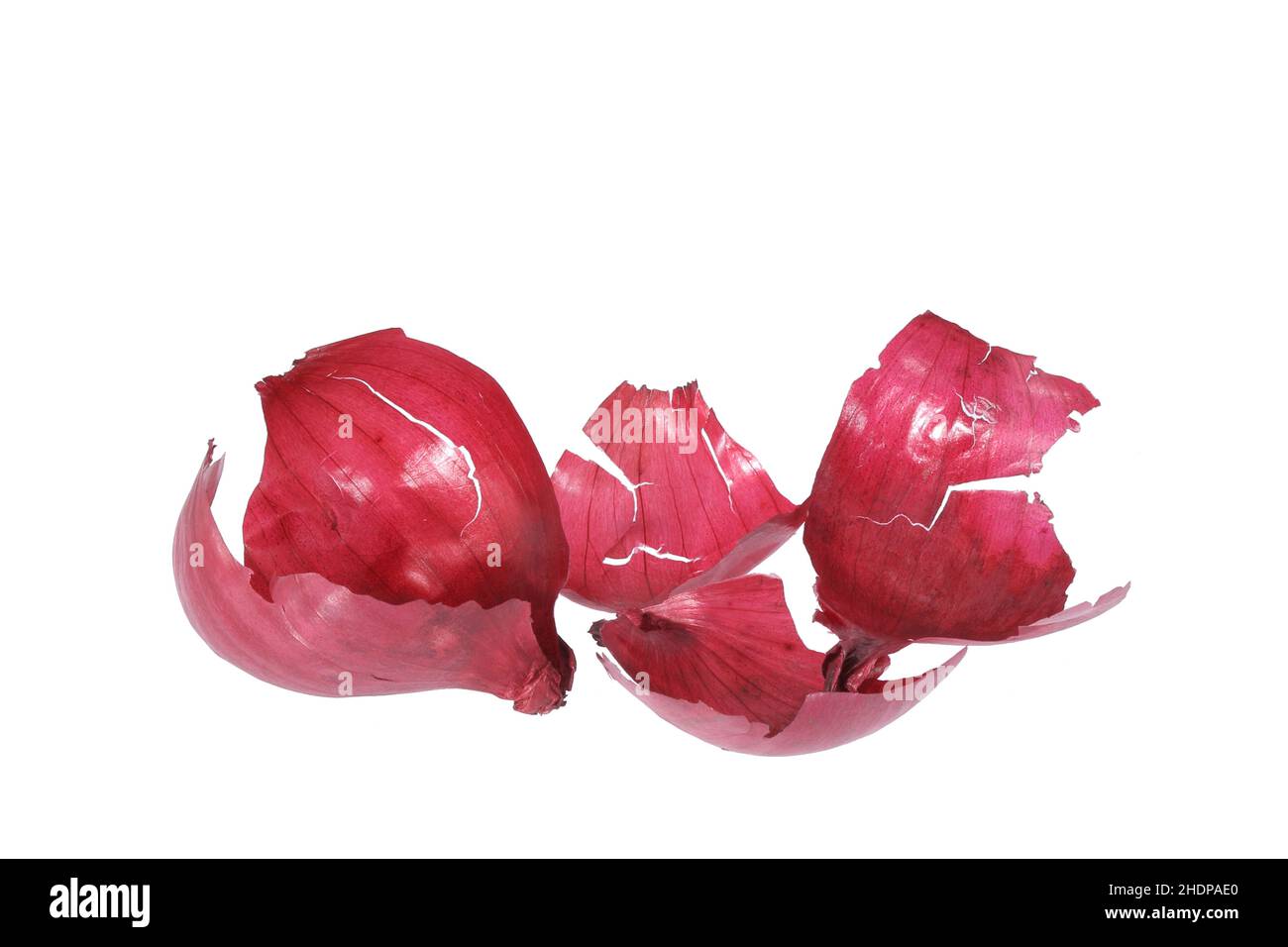 onion skin, onion skins Stock Photo Alamy