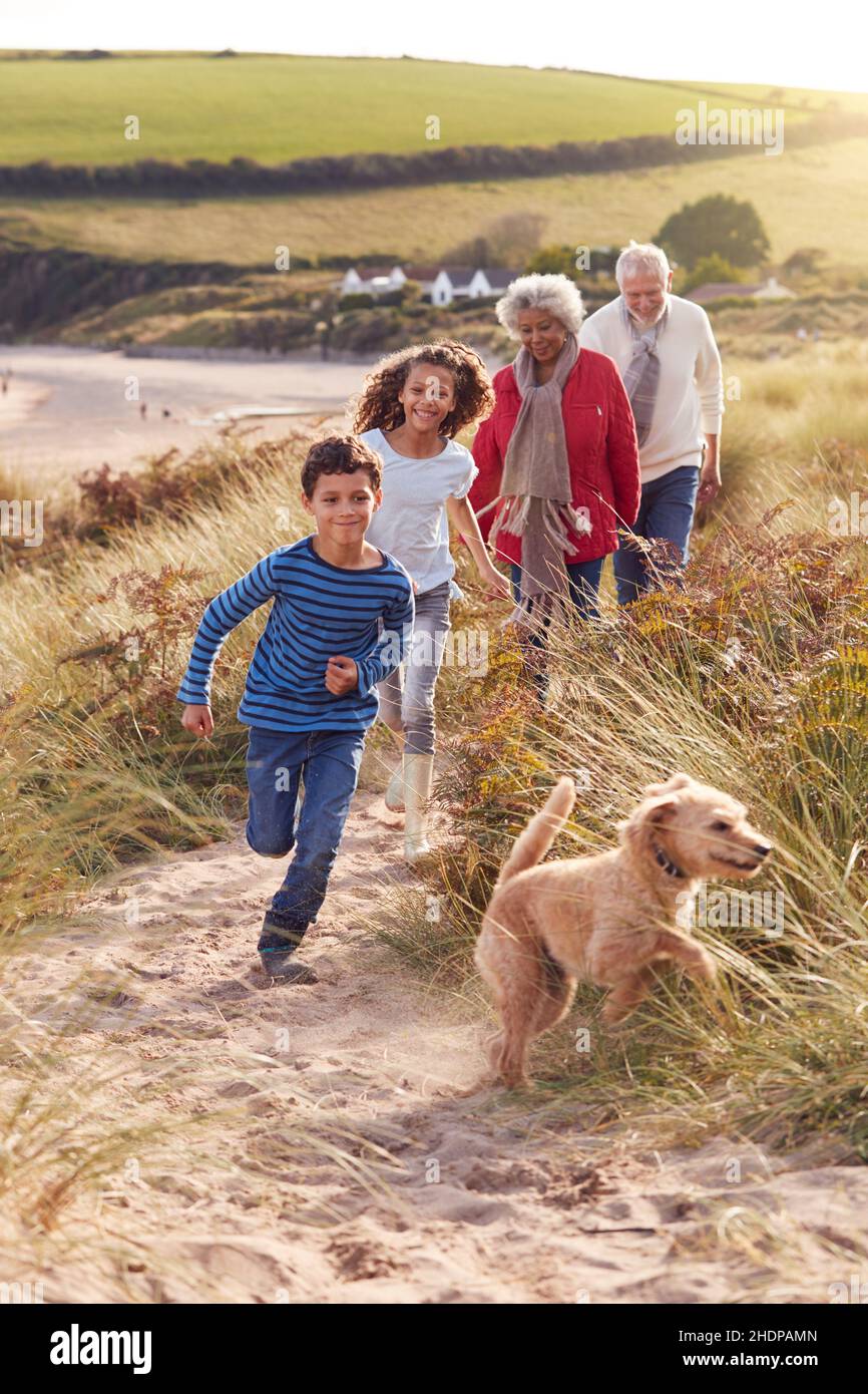 beach walking, excursion, grandparent, multicultural, grandchildren