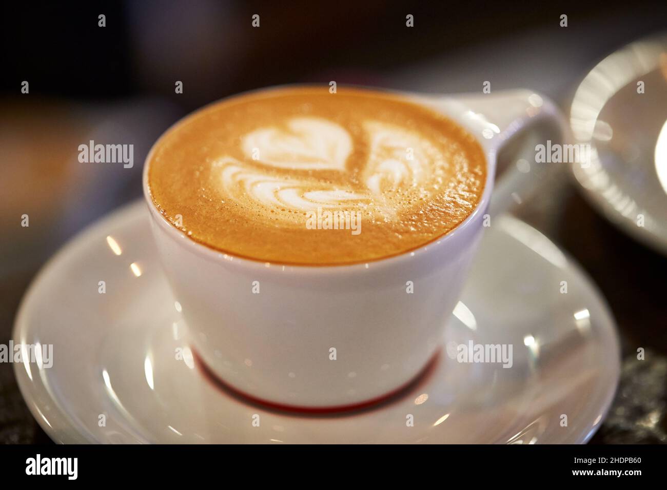 milk foam, latte, cappuccino, milk foams, lattes, cappuccinos