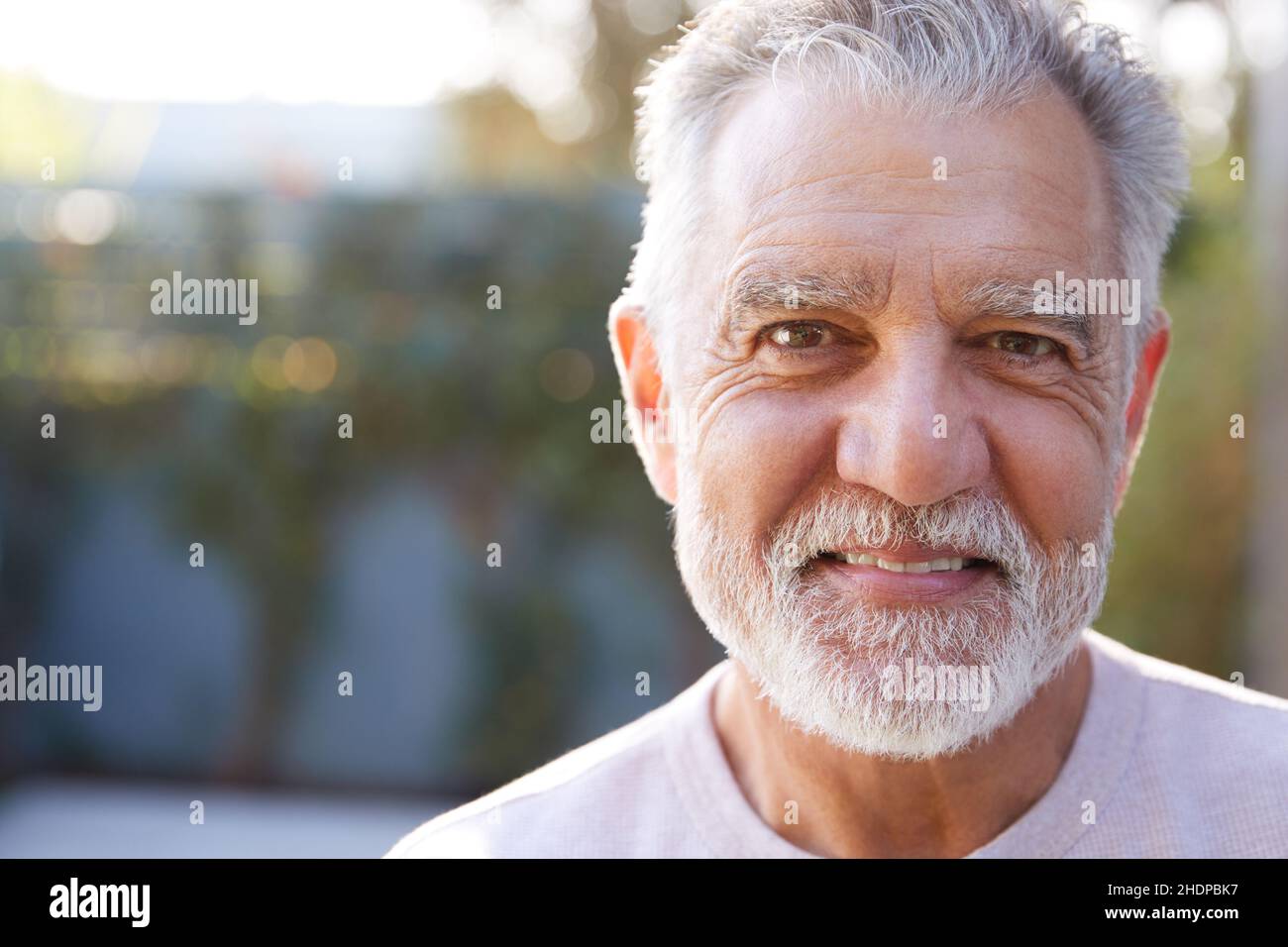senior, gray hair, portrait, beard, elderly, old, seniors, gray hairs, grey hair, portraits, beards Stock Photo