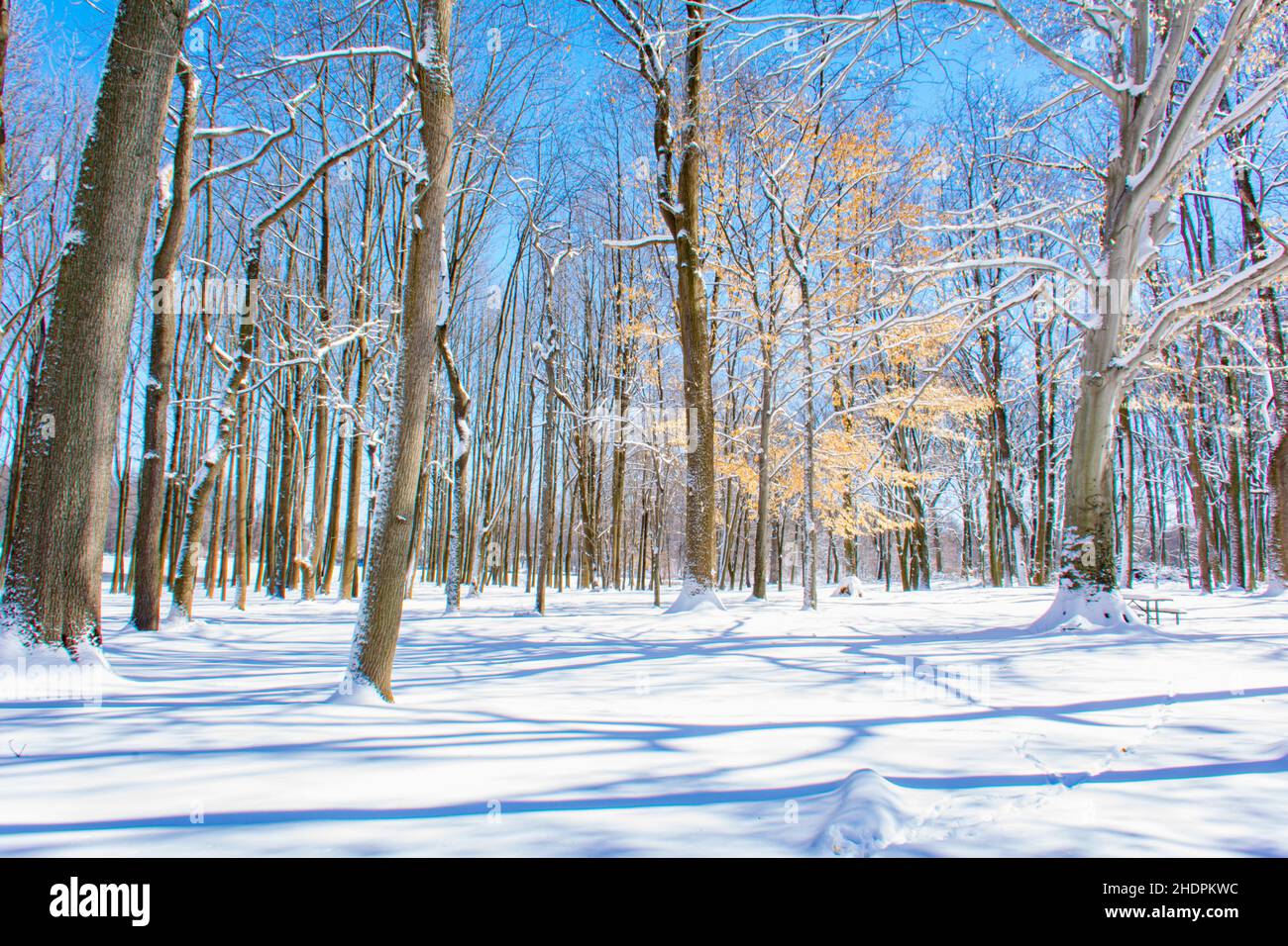 Winter landscape with snow in Pennsylvania Stock Photo - Alamy