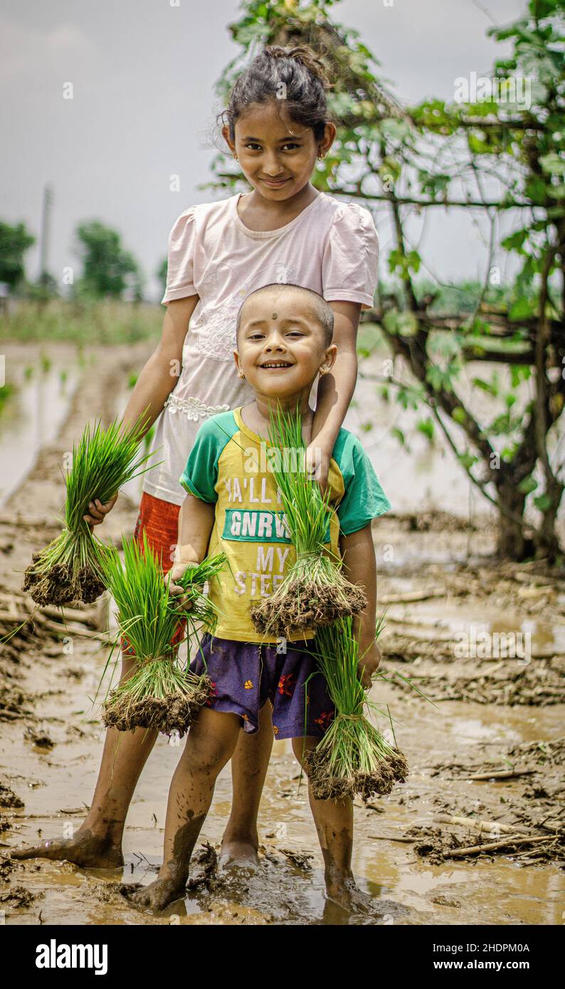 Beautiful little child working in a paddy field Stock Photo