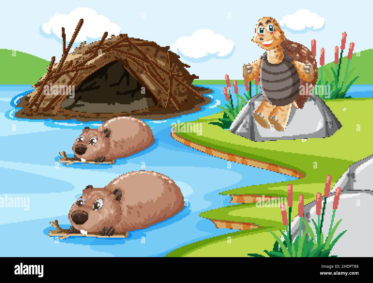 Forest scene with beavers living in dam and a tortoise illustration ...