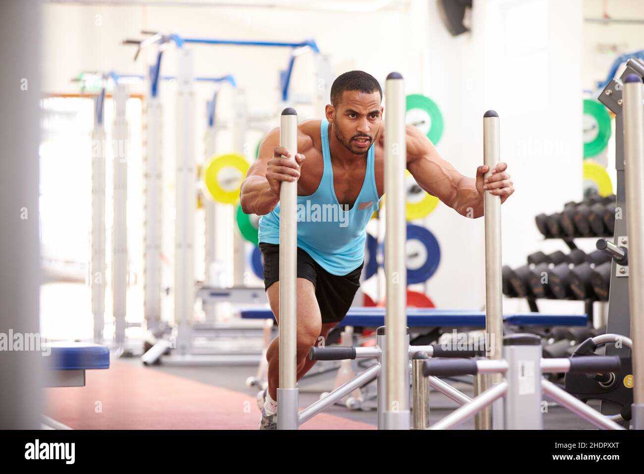 sports training, sportsman, muscle, fitness equipment, exercise