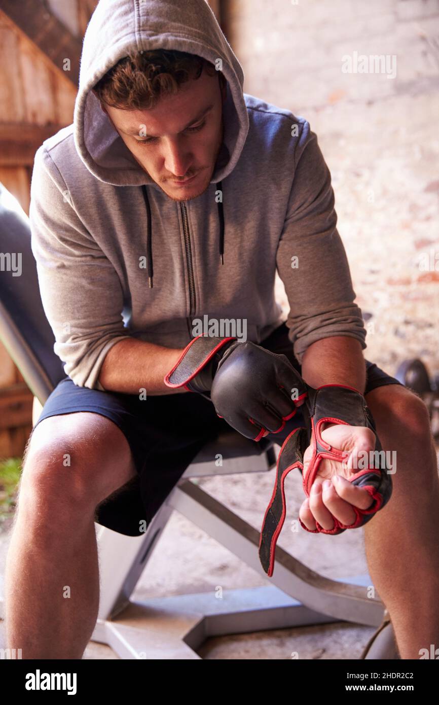 hands, boxer, boxing gloves, hand, boxers, boxing glove Stock Photo Alamy