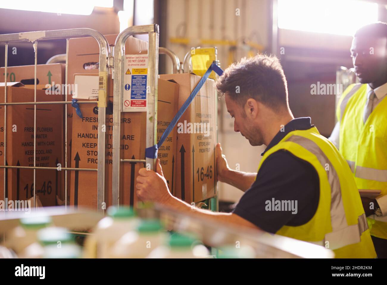 man, warehouse, delivery , warehouse clerk, guy, men, warehouses