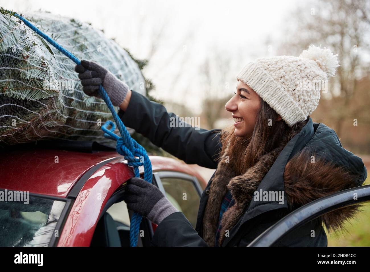 christmas tree, transportation, christmas trees, transport
