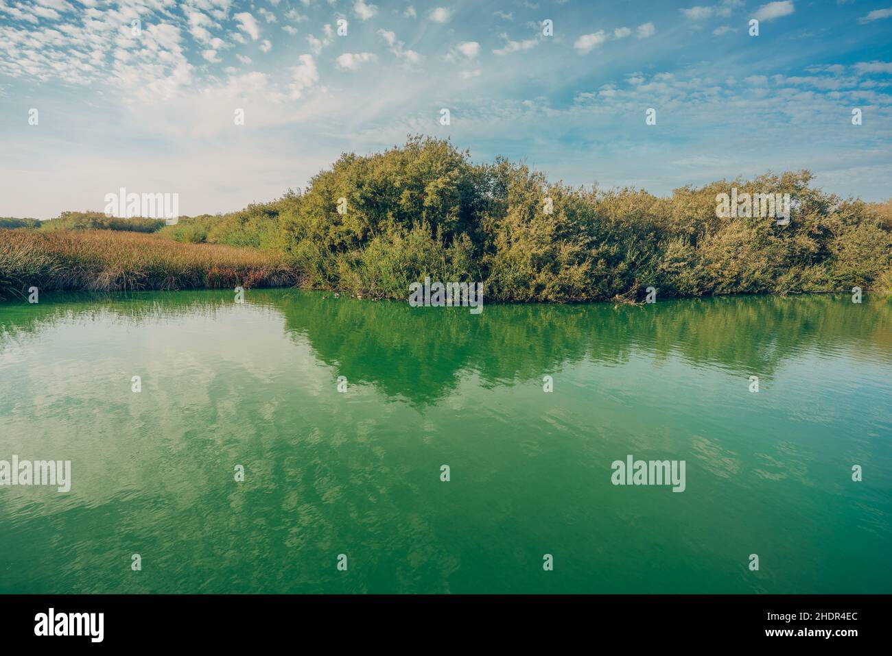 Beautiful peaceful landscape with lake, water reflections from cloudy sky, and rushes and marsh plants at the edge of the lake Stock Photo