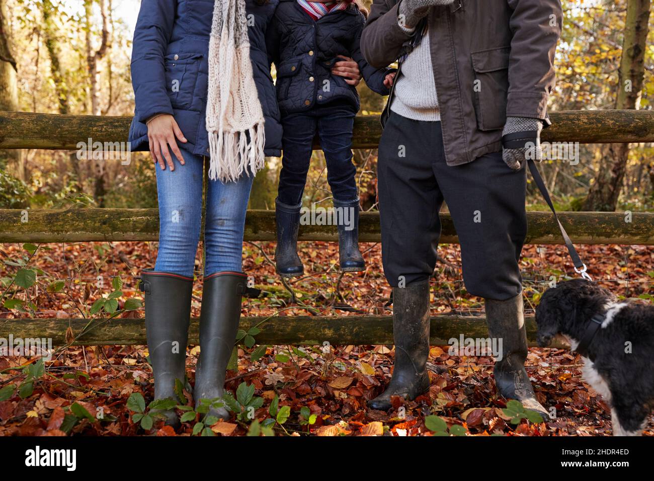walk the dog, galoshes, autumn clothing, walk the dogs, wellies, wellington boots, welly Stock Photo