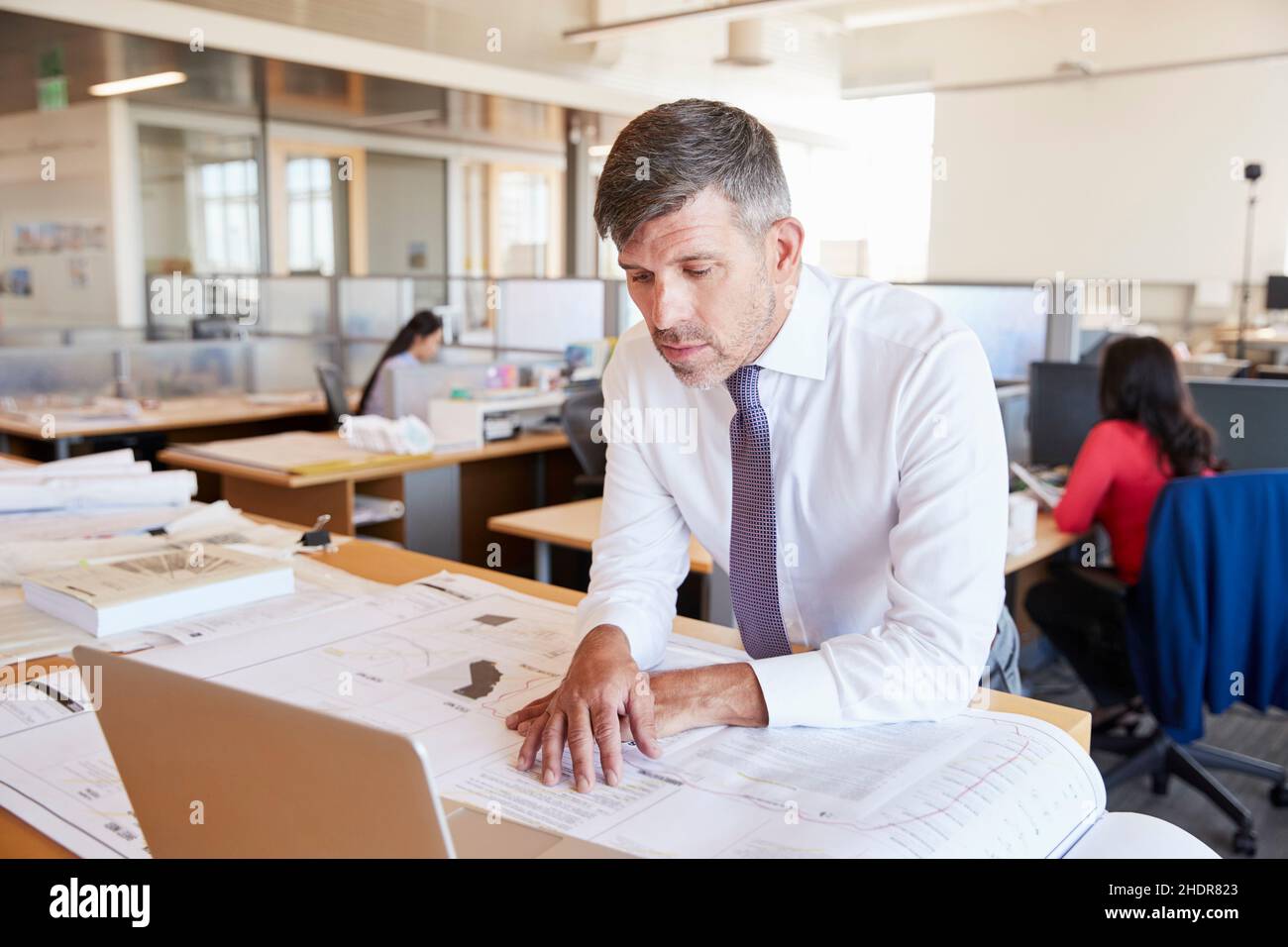 serious, floorplan, architect, floorplans, architects Stock Photo