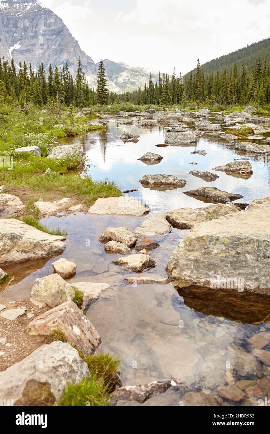 Wilderness Ribe wilderness, river, riverbed, wild, rivers, riverbeds Stock Photo - Alamy