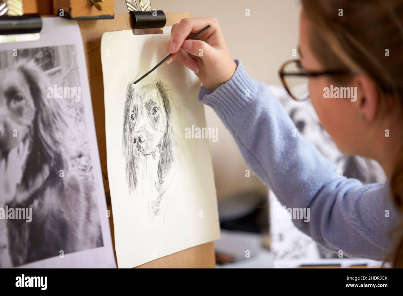 animal portrait, drawing, exemplary, carbon pencil, animal portraits, exemplaries, template Stock Photo