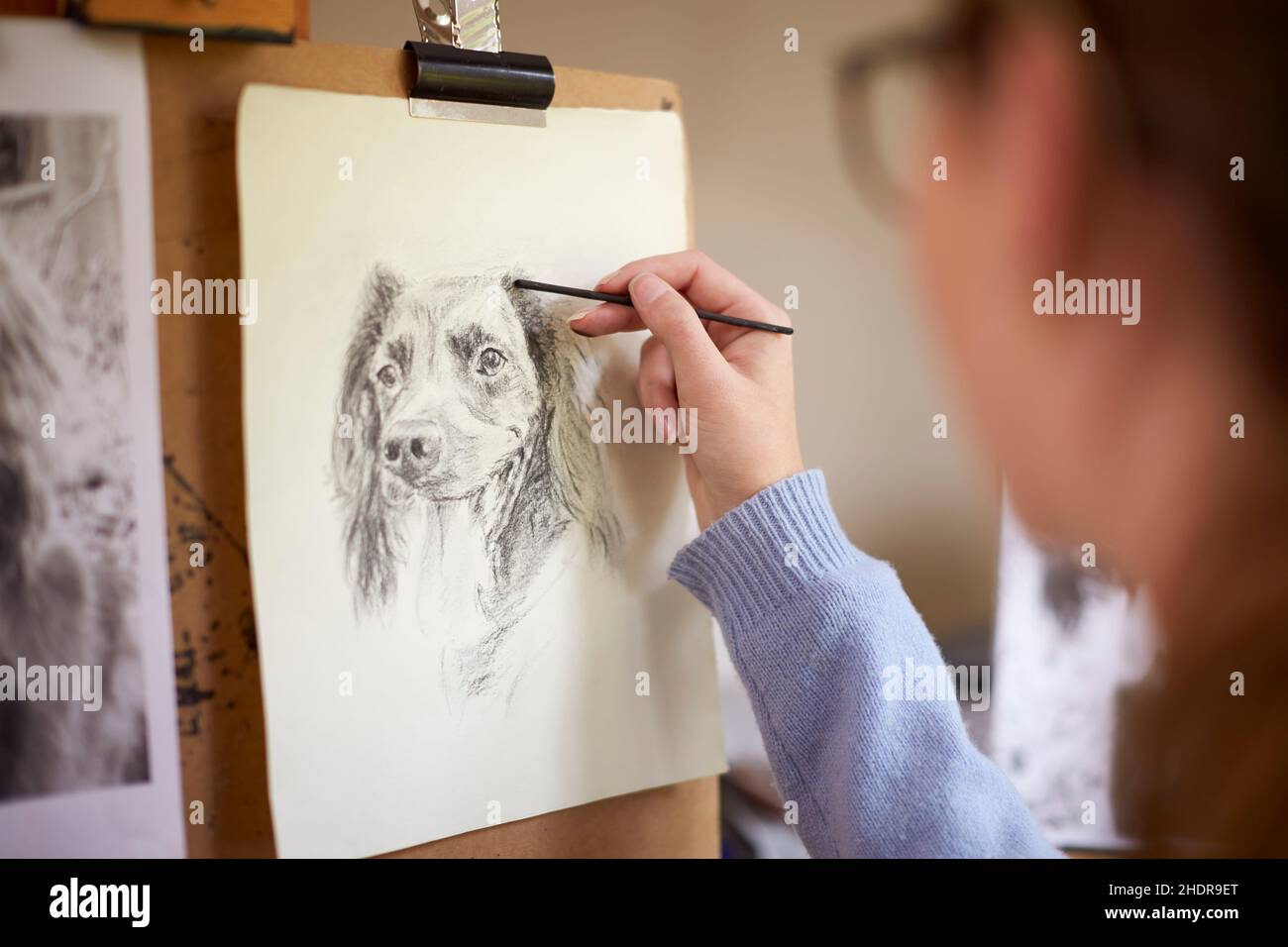 animal portrait, dog, drawing, carbon pencil, animal portraits, dogs Stock Photo