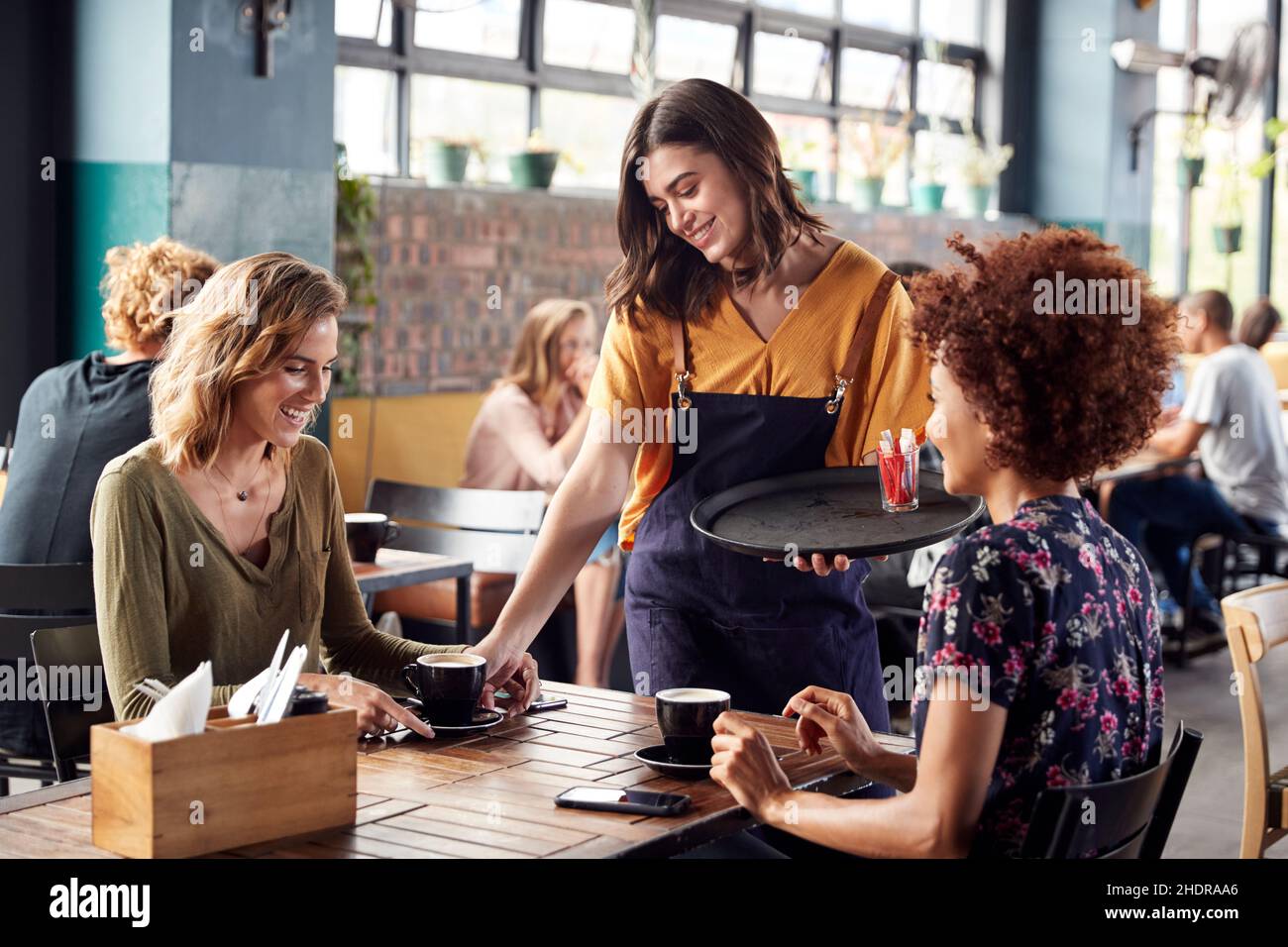 coffee, serve, waitress, coffees, serves Stock Photo Alamy