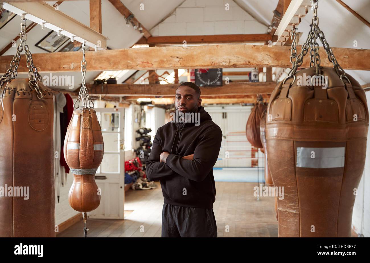 boxer, owner, boxers Stock Photo Alamy