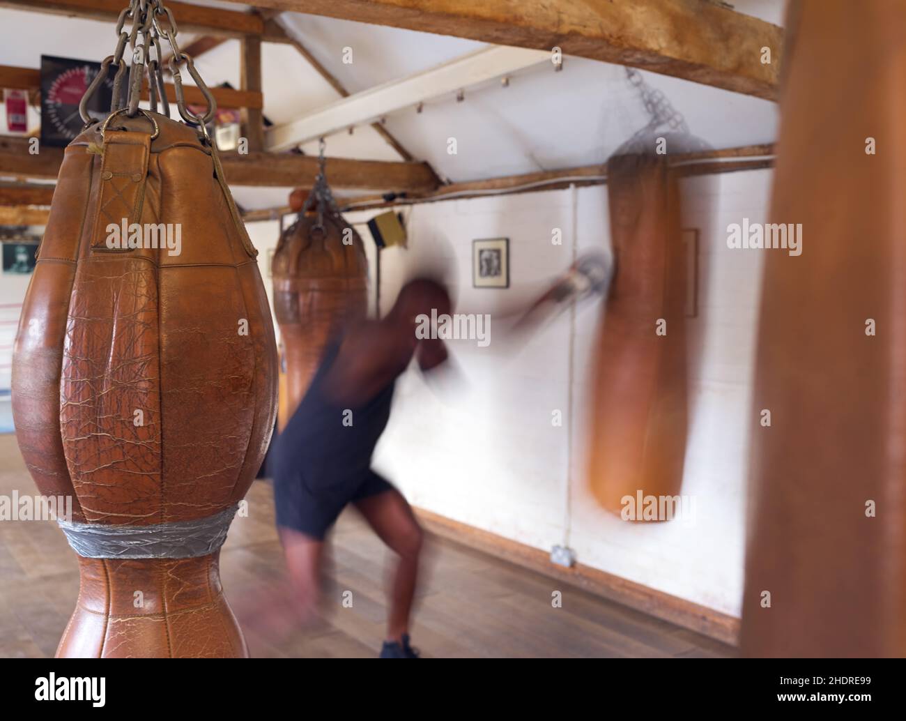 martial arts, punching bag, boxing, combative sports, punching bags