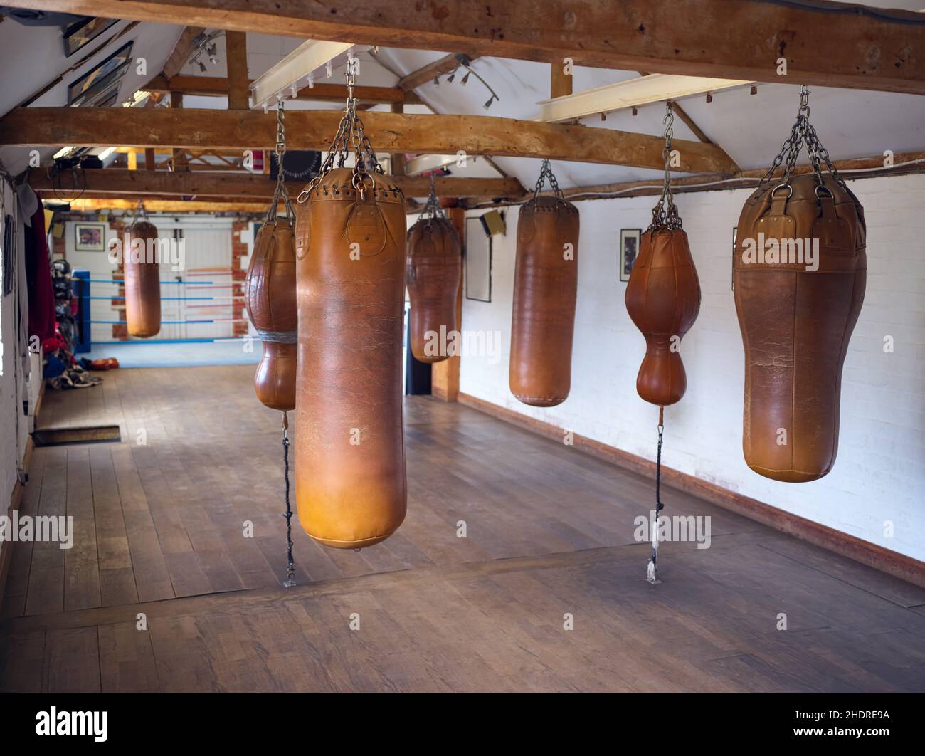 Boxing Classes Near Me  Find Best Boxing Gym Near Me at cultfit