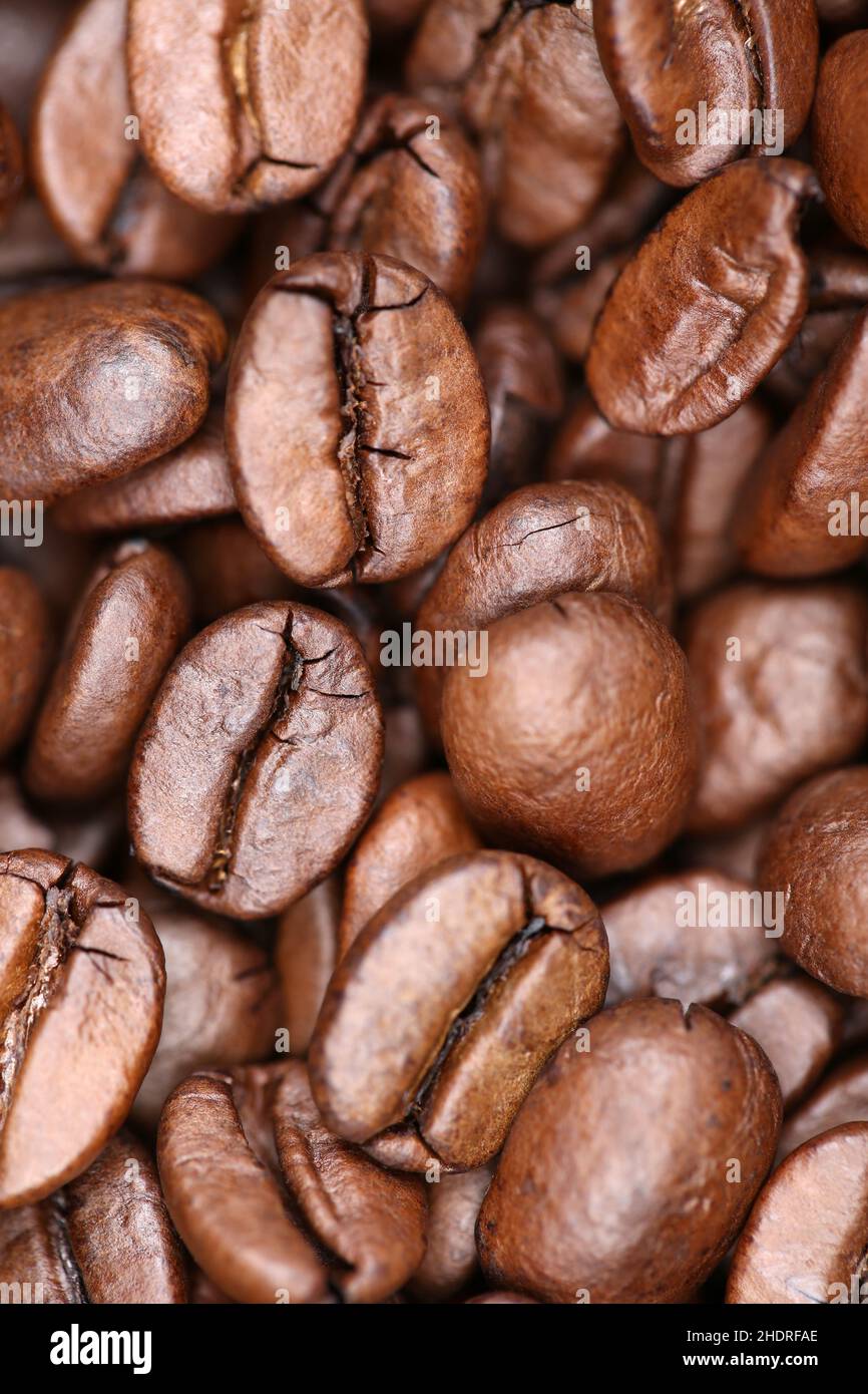 coffee beans, roasting, arabica, coffee bean, arabicas Stock Photo