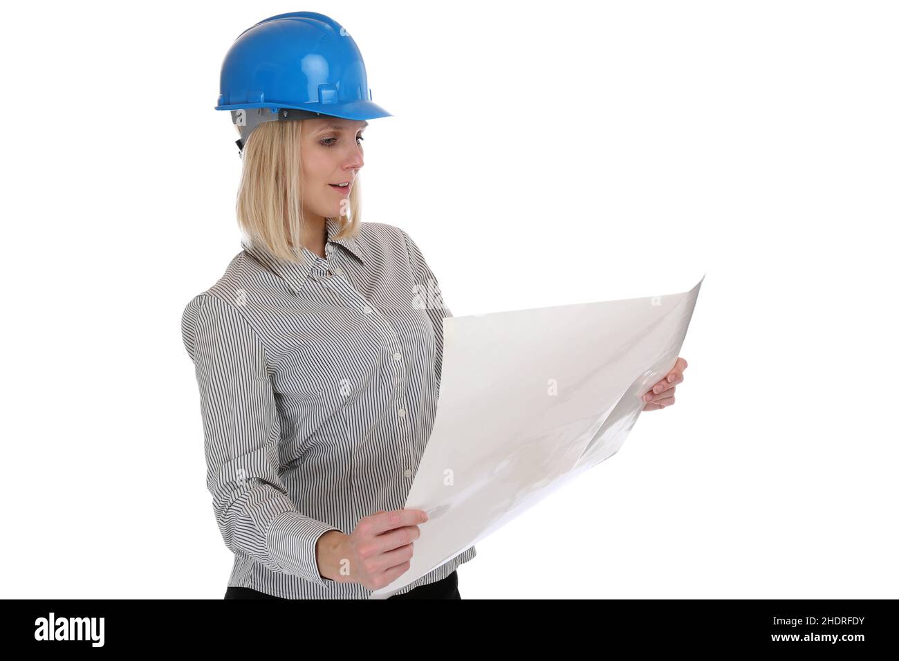 blueprint, general contractor, engineer, blueprints, blue collar