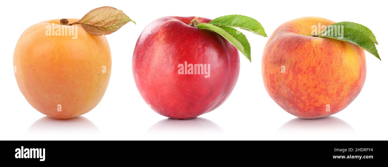 peach, stonefruit, apricot, nectarine, peachs, stonefruits, apricots, nectarines Stock Photo