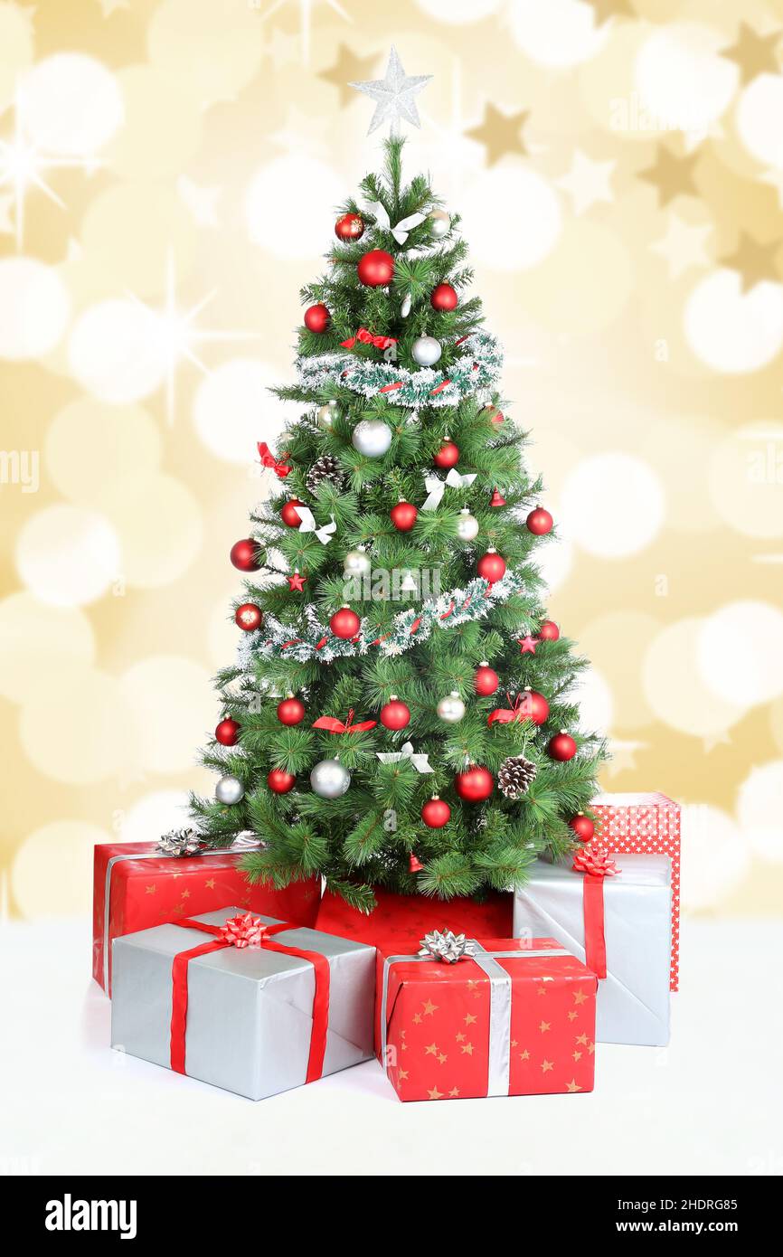 christmas tree, christmas eve, christmas, christmas trees, christmas