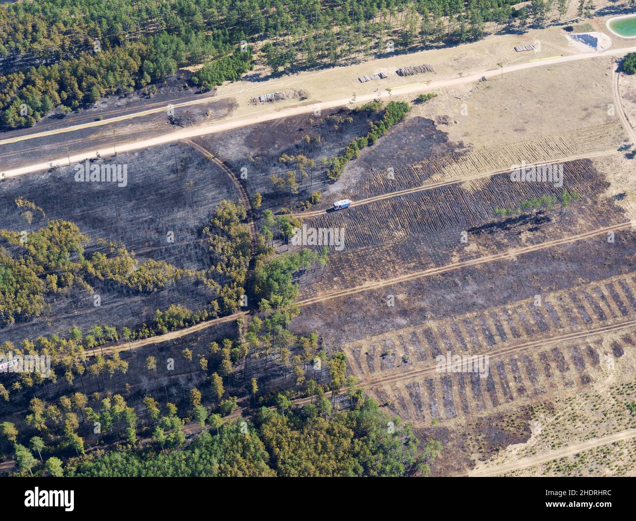 forest, destruction, forest fire, forests, wood, woodland, woods, destructions, forest fires Stock Photo