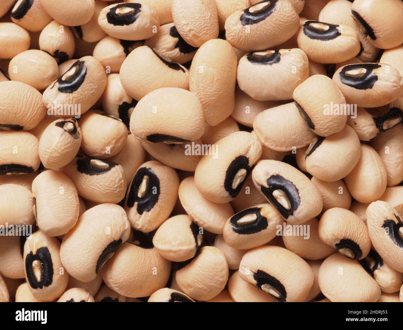 bean, black eyed pea, beans, blackeyed peas Stock Photo Alamy