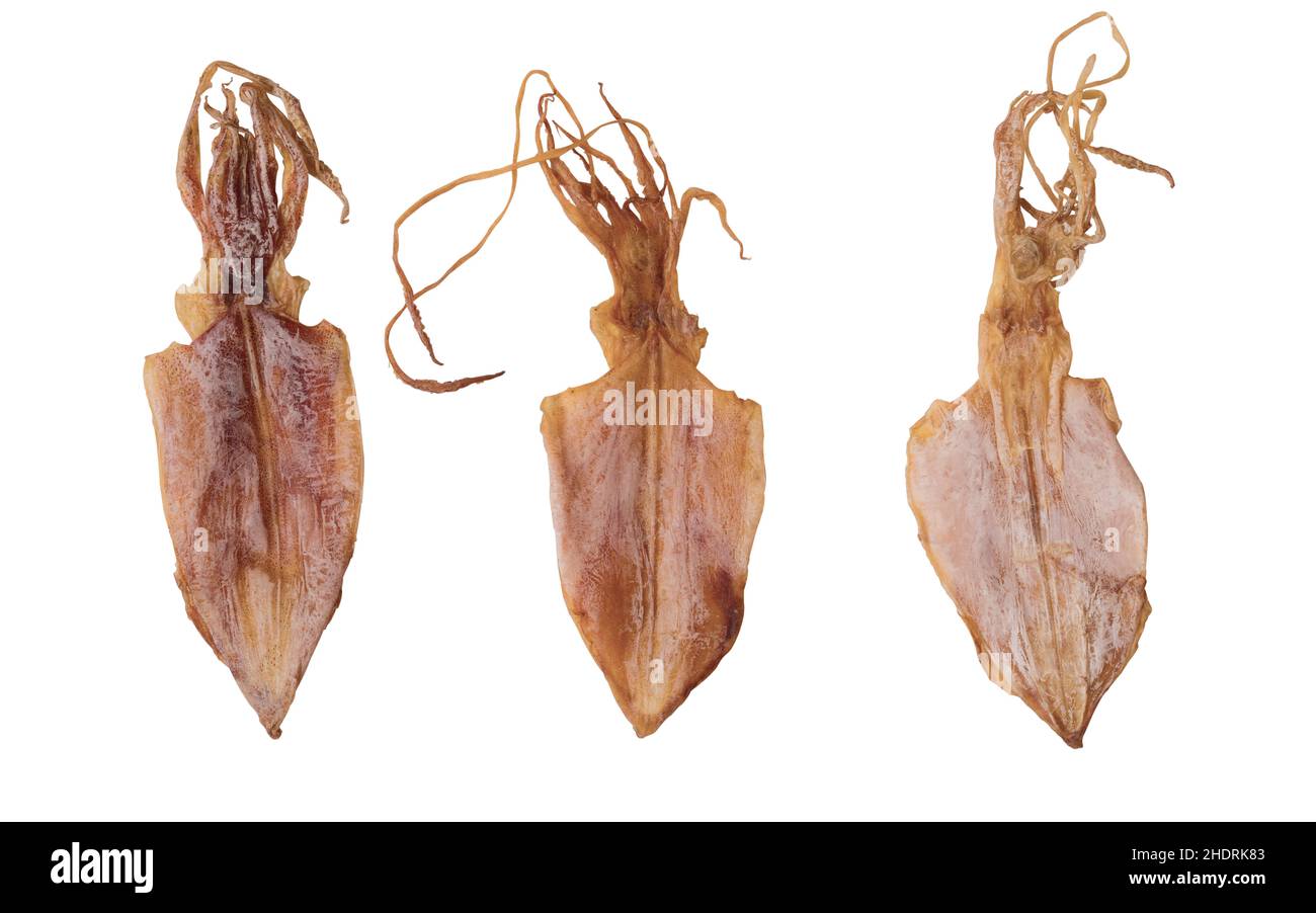 dried food, octopus, calamary, dried foods, octopuses, kalmars Stock
