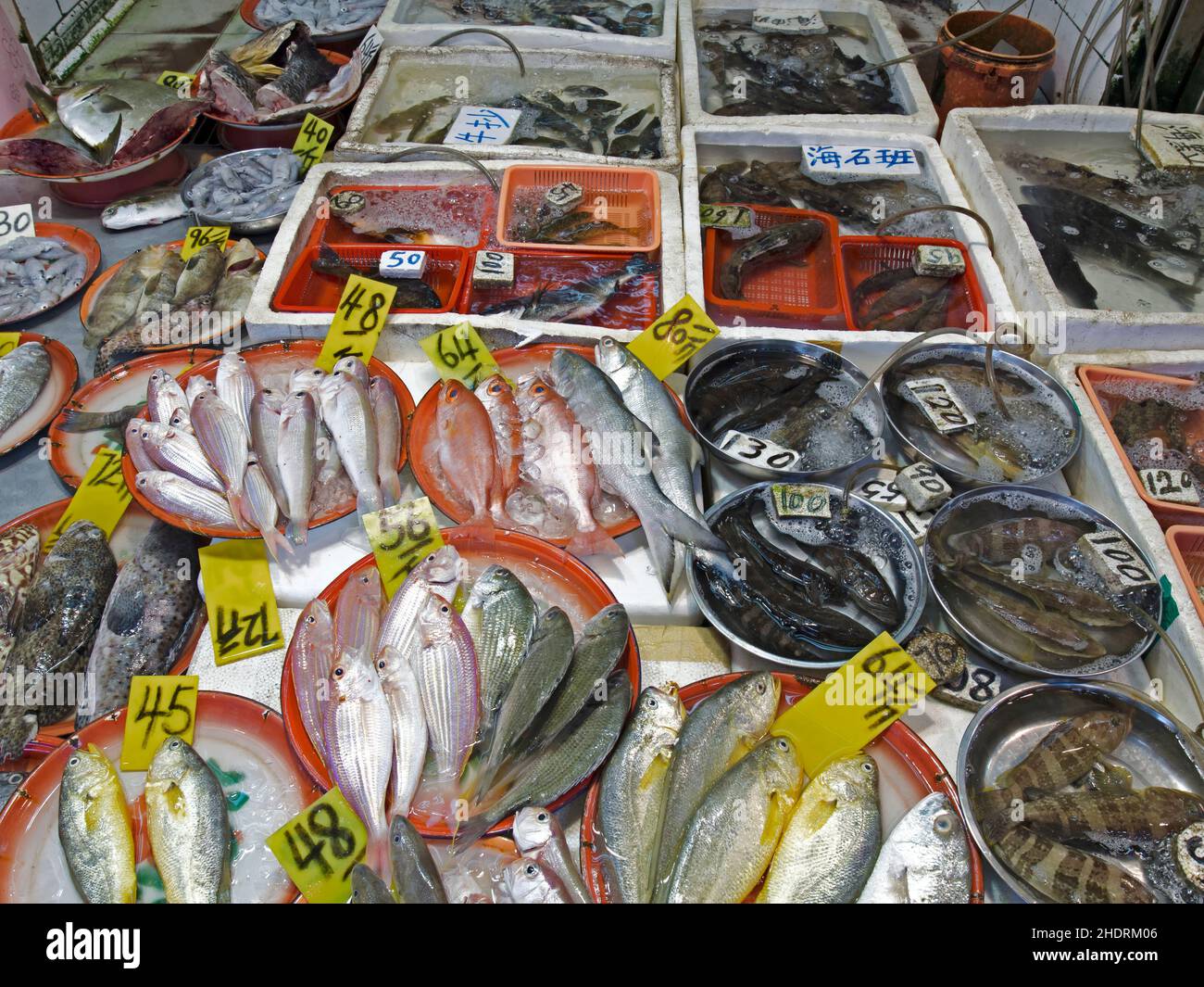 fish, fish market, fishes, fish markets Stock Photo Alamy