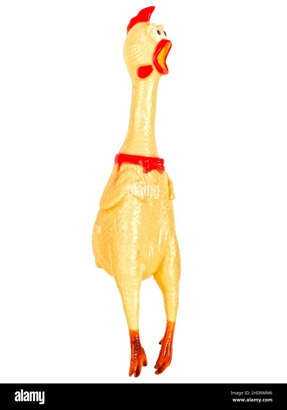 chicken, rubber animal, Rubber chicken, chickens, rubber animals Stock