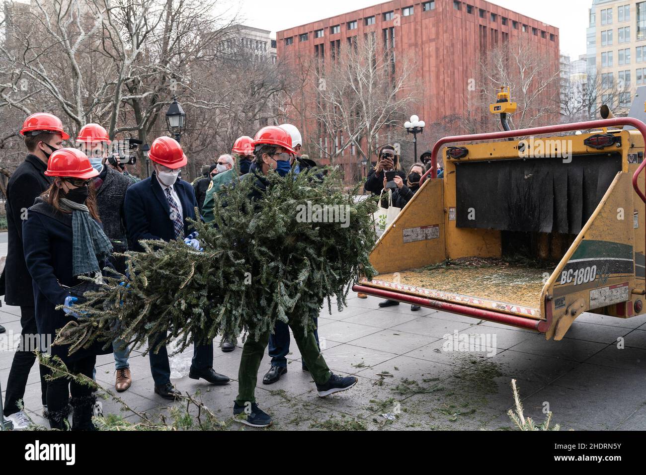 New York, USA. 06th Jan, 2022. Christmas trees mulched during NYC Parks