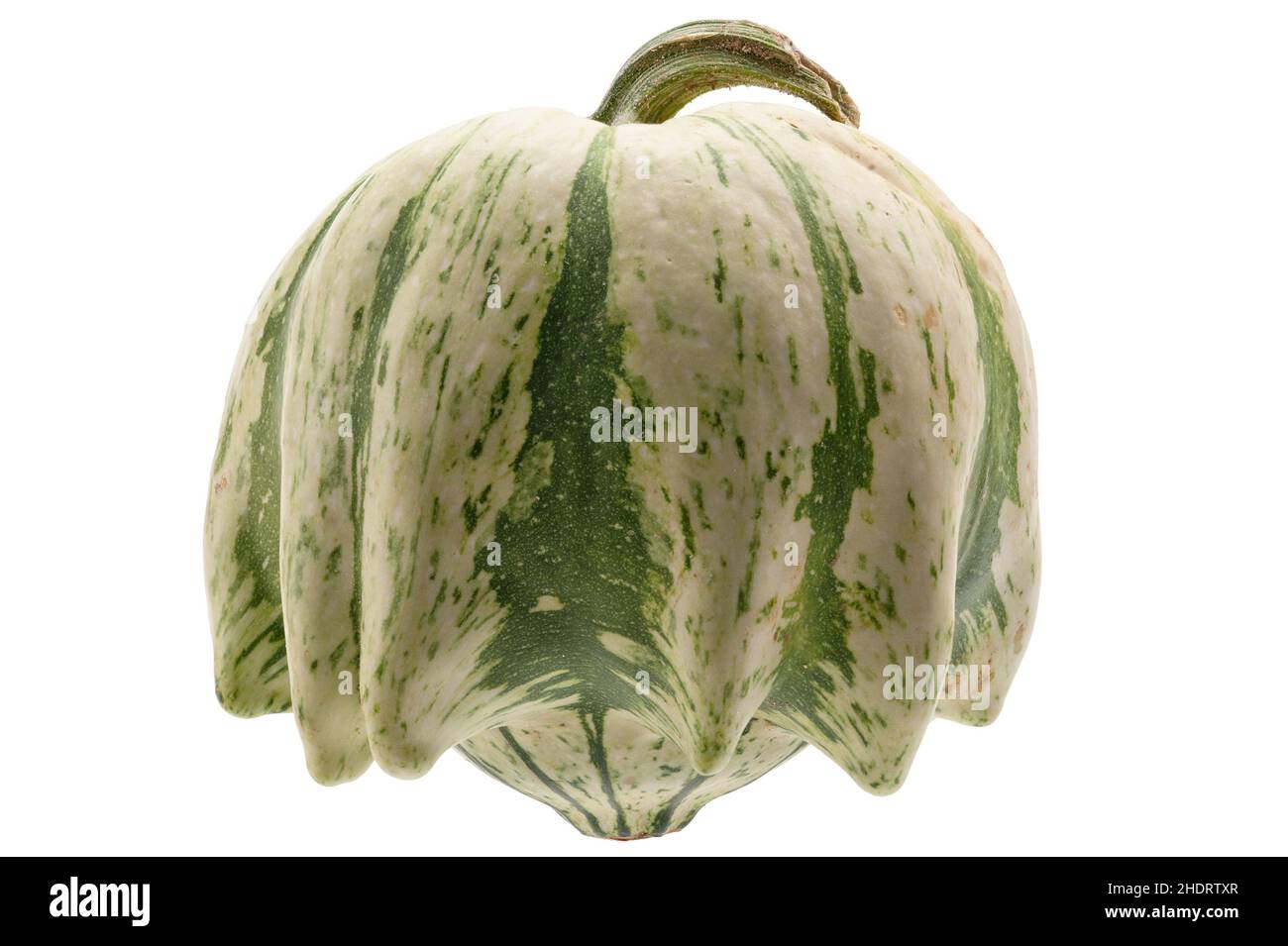 squash, crown of thorns, squashs Stock Photo Alamy