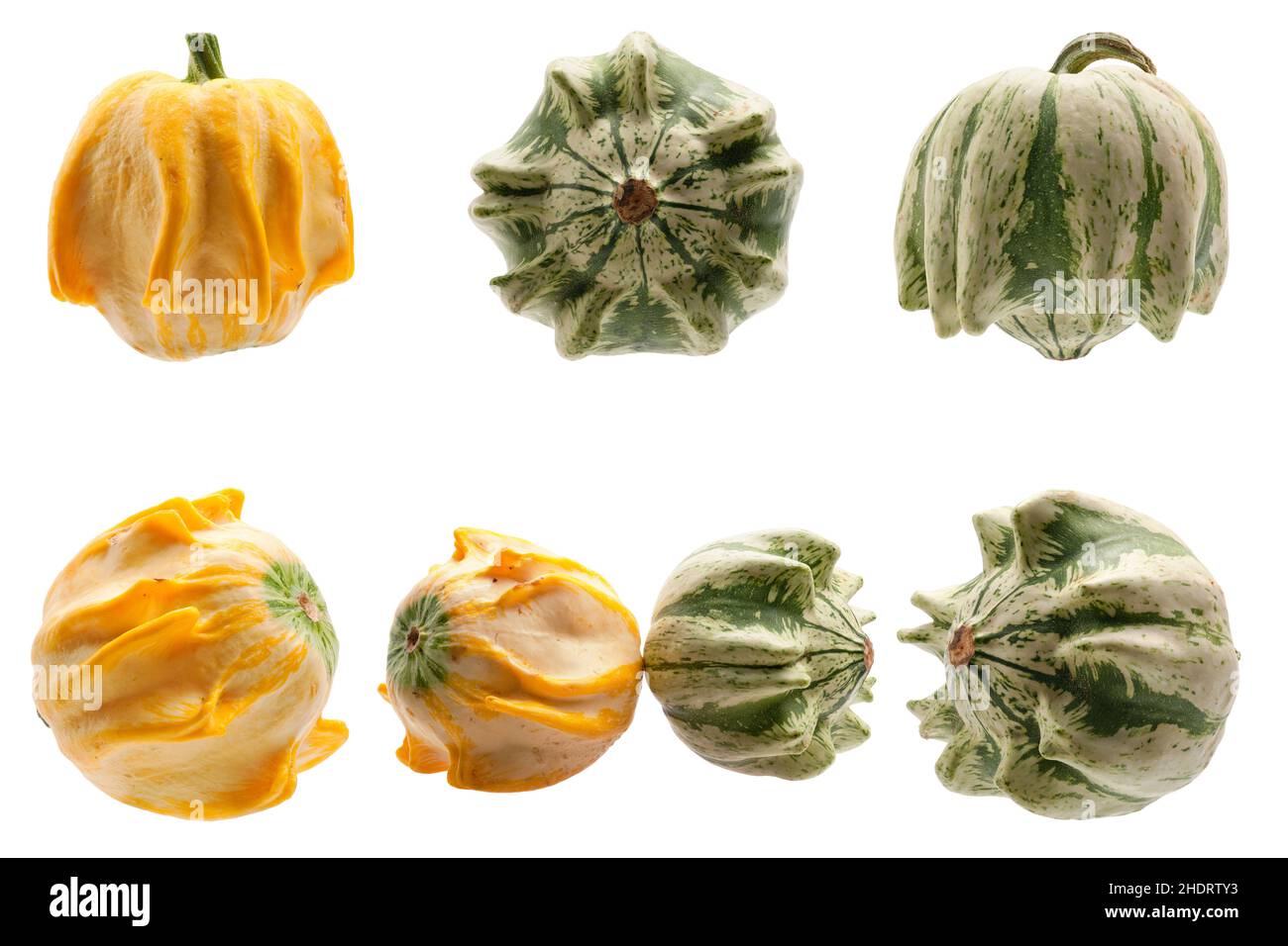squash, ornamental gourd, crown of thorns, squashs, pumpkins Stock Photo Alamy