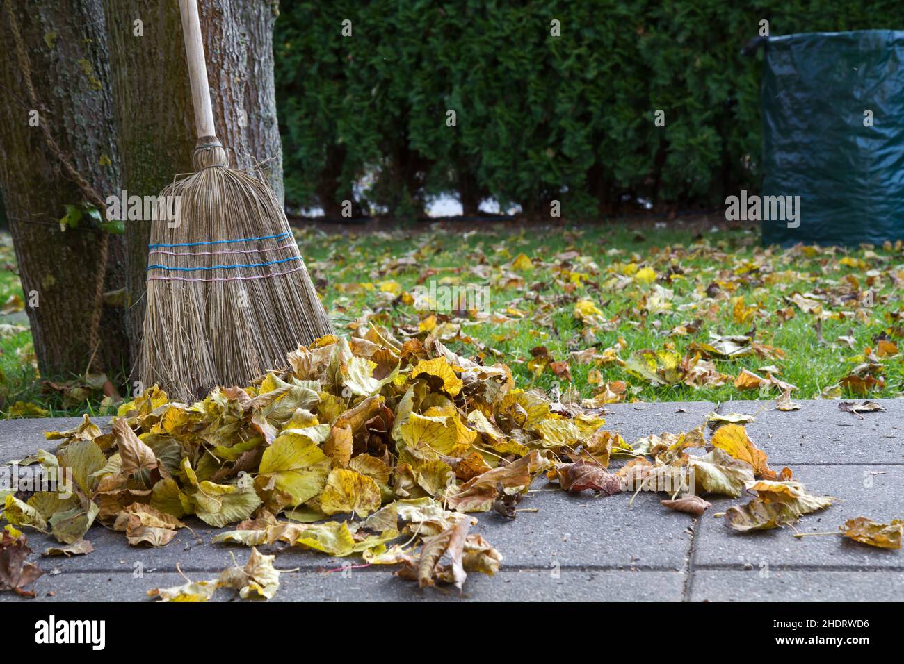 autumn leaves, broom, sweep, leaf, brooms Stock Photo