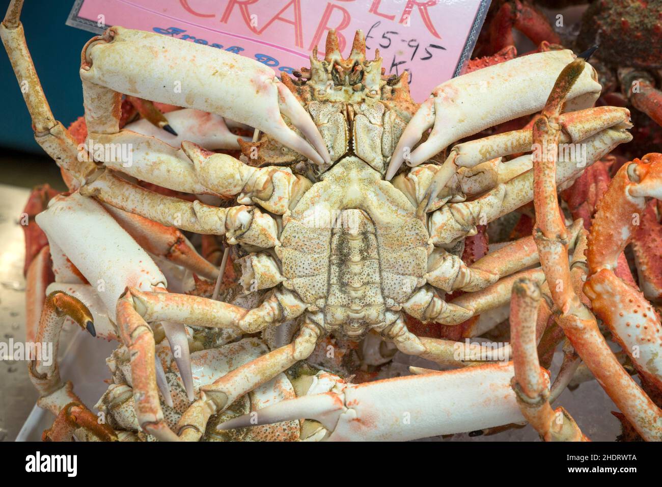 crab, fish market, market stall, crabs, fish markets, market stalls
