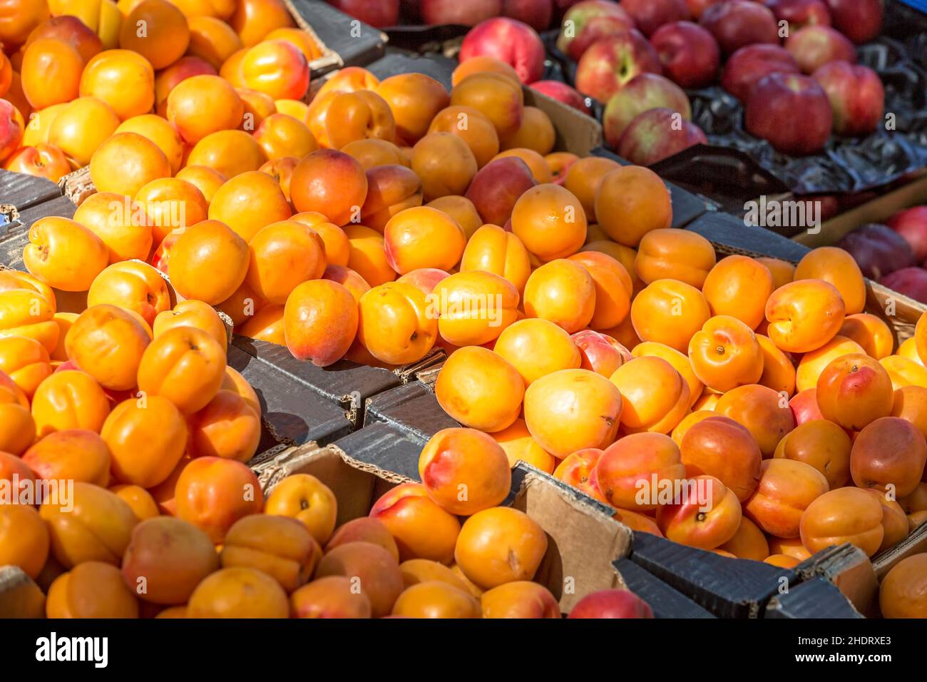 fruit stand, apricots, fruit stands, apricot, fruit Stock Photo Alamy