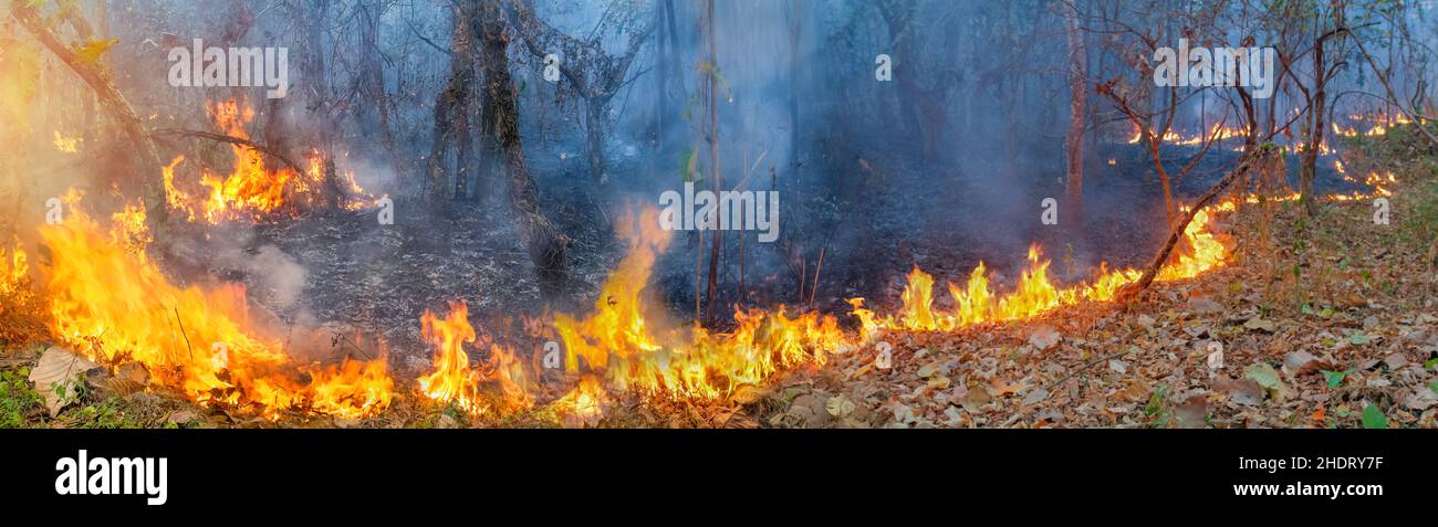 African forest fires in the Congo Basin ,Central Africa Stock Photo