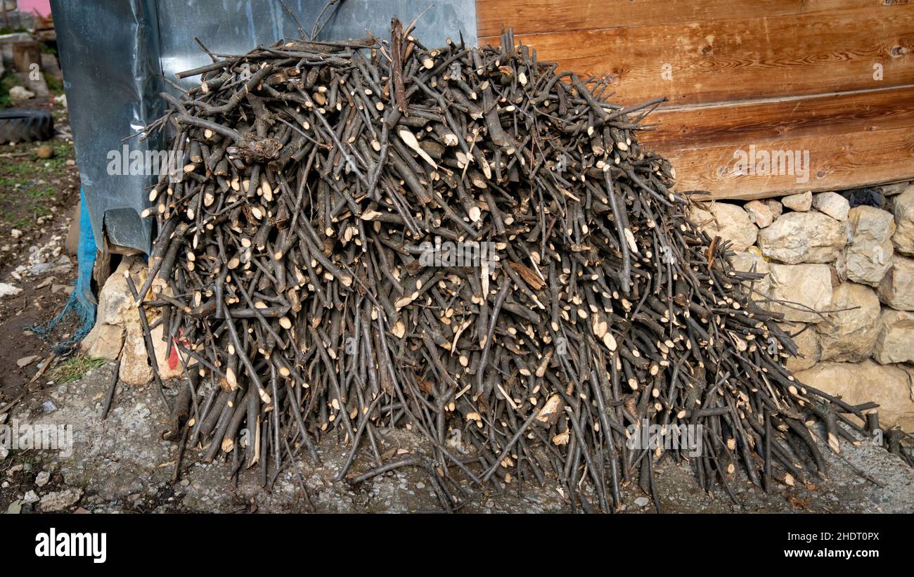 Cut wood tree branches stored in a storage yard. These branches are