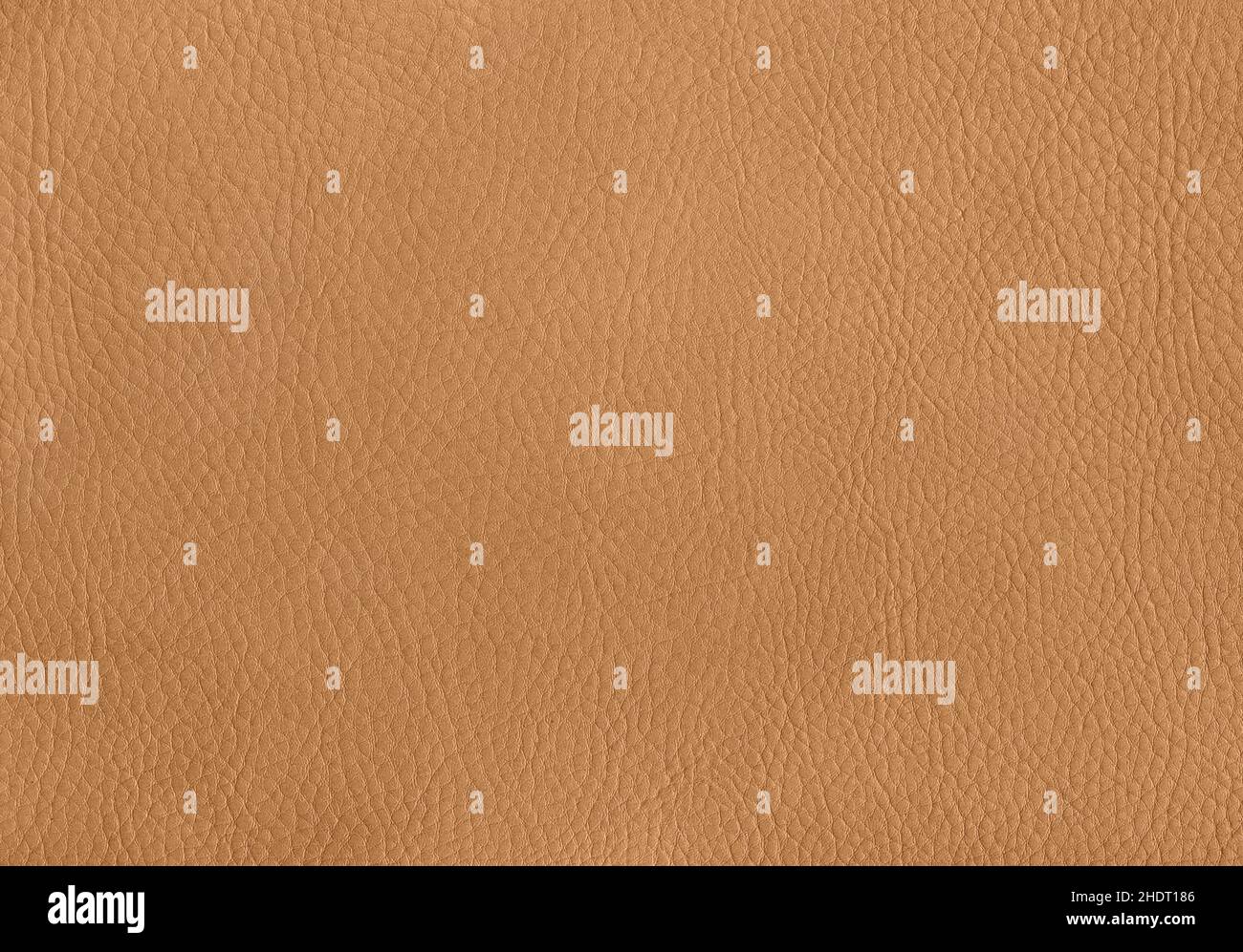 leather, light brown, leathers, light browns Stock Photo Alamy