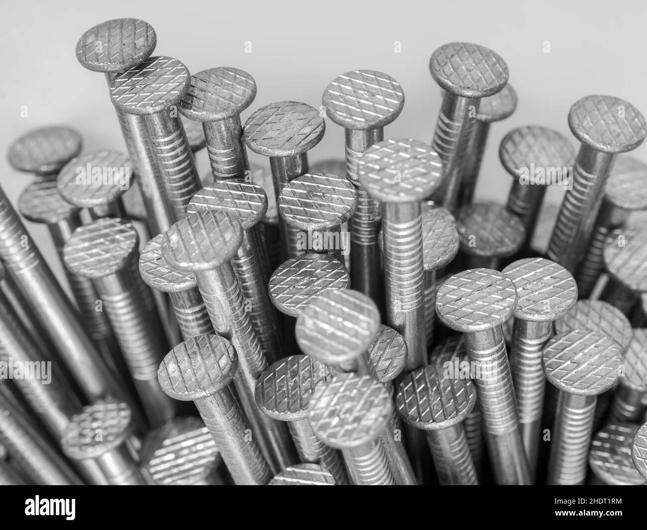 nail head, nail, nail heads, homonym, nails Stock Photo Alamy