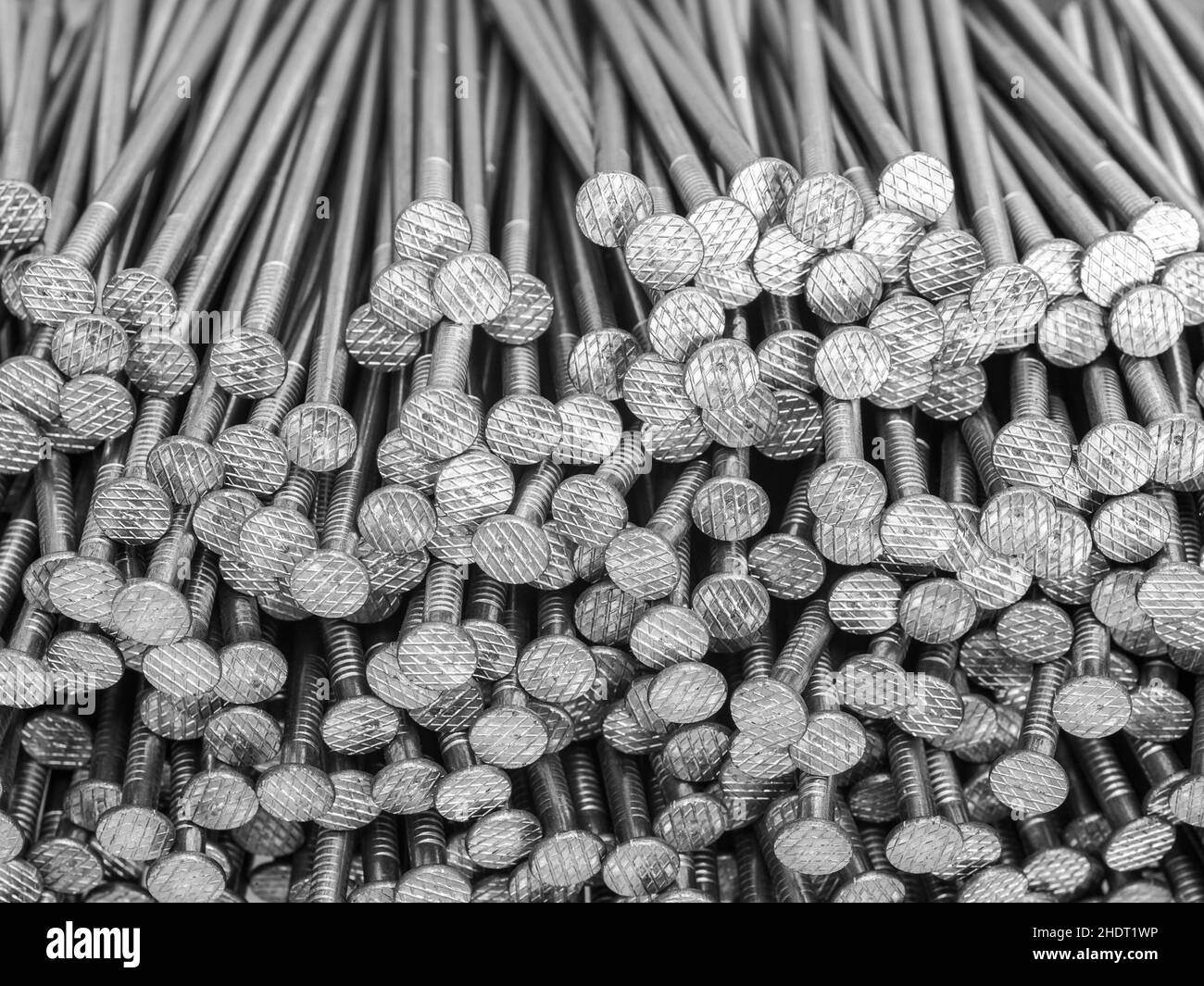 nail head, nail, nail heads, homonym, nails Stock Photo Alamy