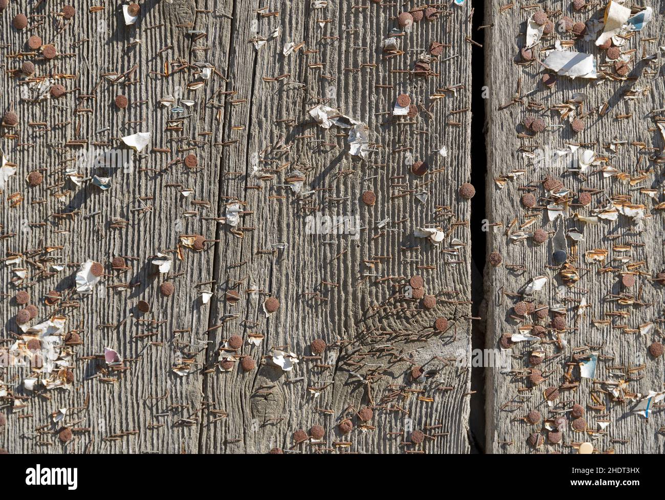 staple, thumbtack, staples, thumbtacks Stock Photo Alamy