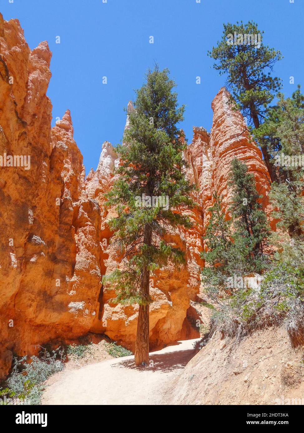 bryce canyon national park, hoodoo, bryce canyon national parks ...