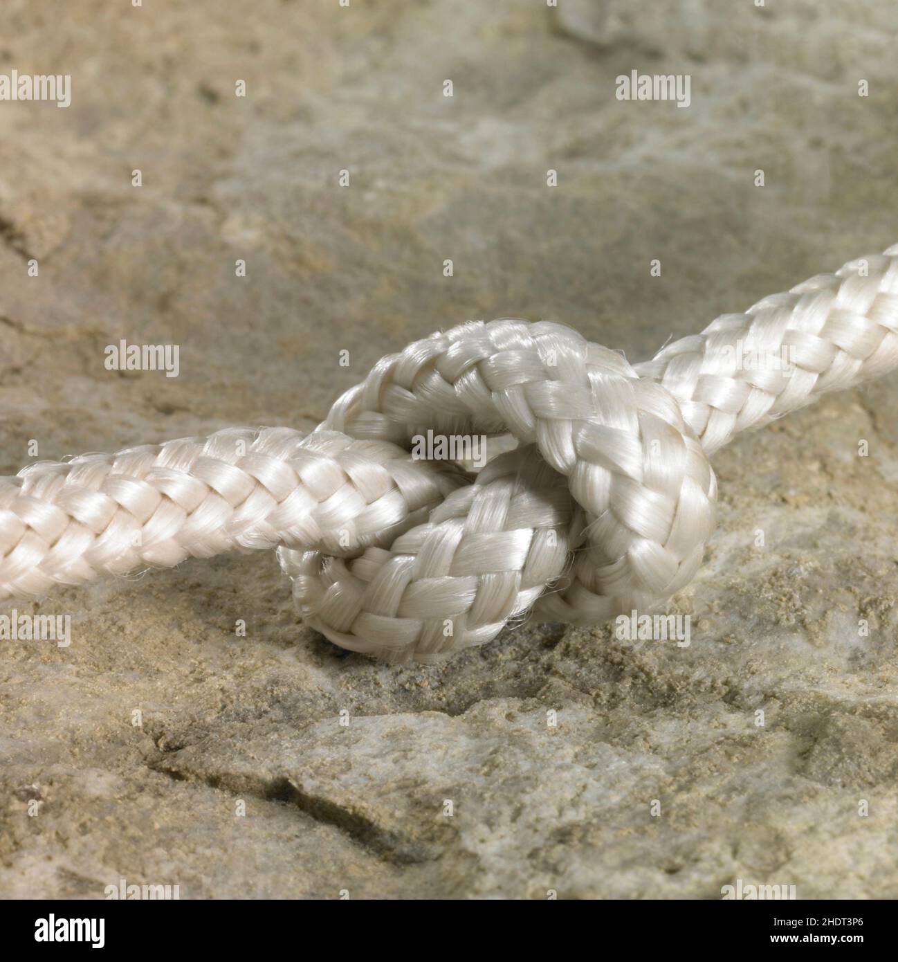 dew, tied knot, dews, tied knots Stock Photo Alamy