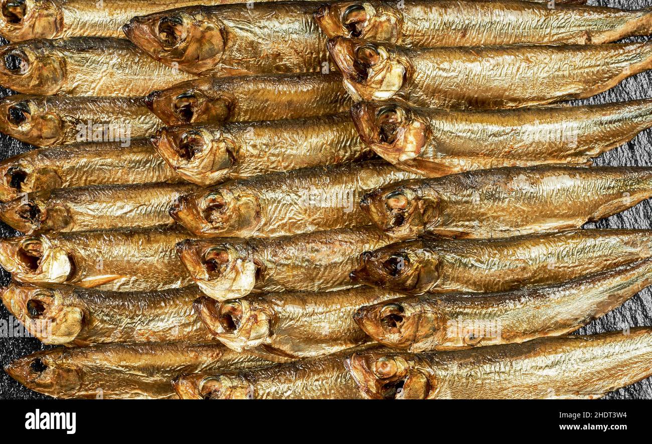 Shprotes Riga herring, smoked fish, sprat, kippers, riga sprouts, sprats Stock Photo ...