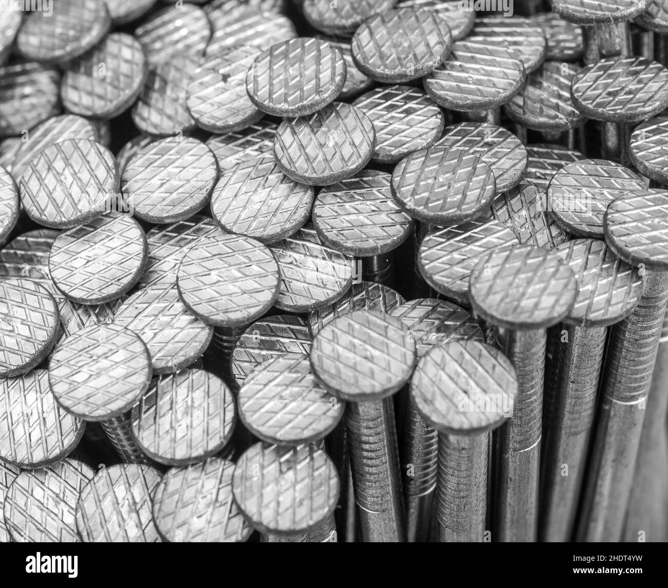 nail head, nail, nail heads, homonym, nails Stock Photo Alamy